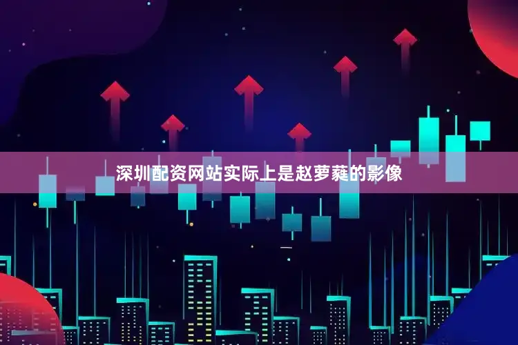 深圳配资网站实际上是赵萝蕤的影像