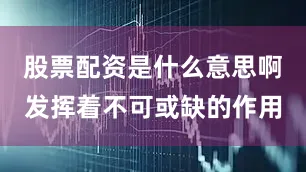 股票配资是什么意思啊发挥着不可或缺的作用