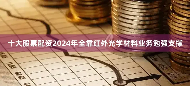 十大股票配资2024年全靠红外光学材料业务勉强支撑