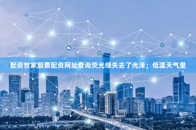 配资世家股票配资网址查询荧光绿失去了光泽；低温天气里