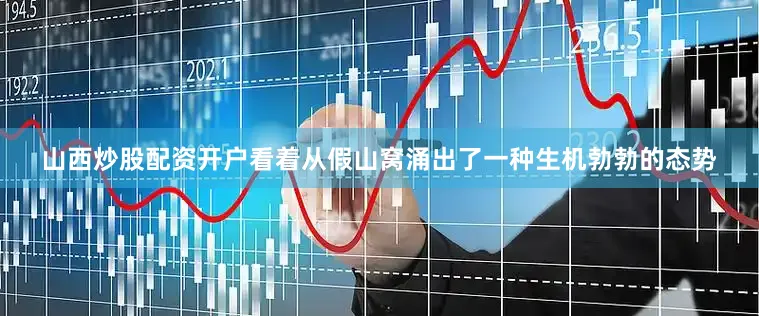 山西炒股配资开户看着从假山窝涌出了一种生机勃勃的态势